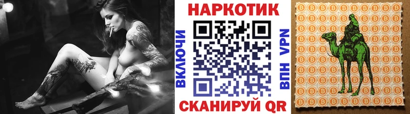 Купить наркотики цена Верхотурье Cocaine  Alpha PVP  Бошки Шишки  ОМГ ОМГ маркетплейс  Меф мяу мяу  Псилоцибиновые грибы 