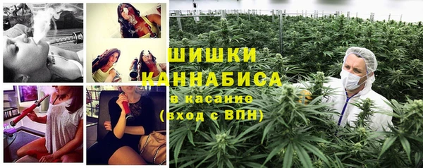 mdpv Богородск
