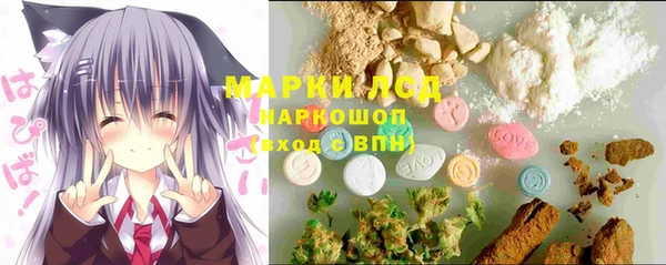 ГАЛЛЮЦИНОГЕННЫЕ ГРИБЫ Богданович